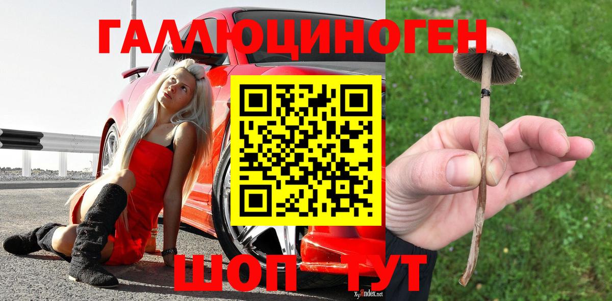 Узловая  Псилоцибиновые грибы прущие грибы  Вход с VPN  Псилоцибиновые грибы Cubensis 
