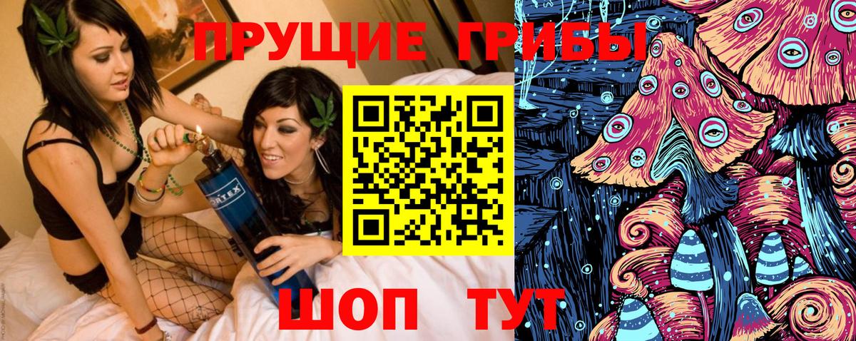Псилоцибиновые грибы мицелий Узловая