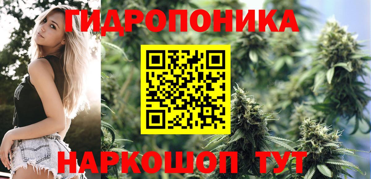 Узловая  Канабис Bruce Banner  Вход с VPN  Бошки Шишки VHQ  Бошки Шишки планчик 